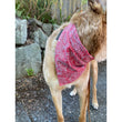 Load image into Gallery viewer, CS Collection: Floral Collar Dog Bandana - Cotton in various sizes
